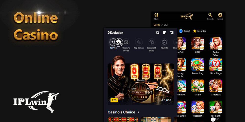 bodog