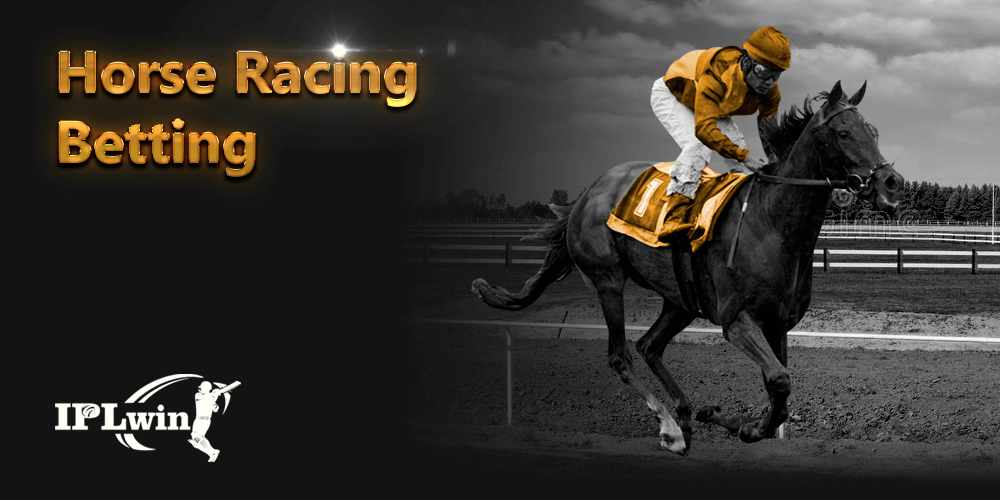 q9bet